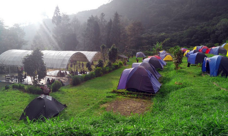 D’Jungle Private Camp: Surga Tersembunyi di Tengah Alam