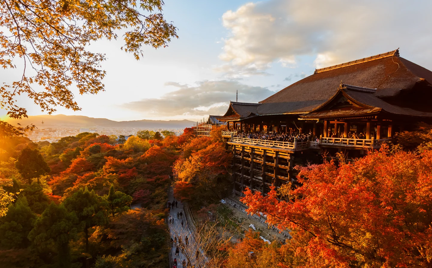10 Fakta Menarik tentang Kiyomizu Dera: Kuil Berusia Lebih dari 1.200 Tahun yang Dibangun Tanpa Paku