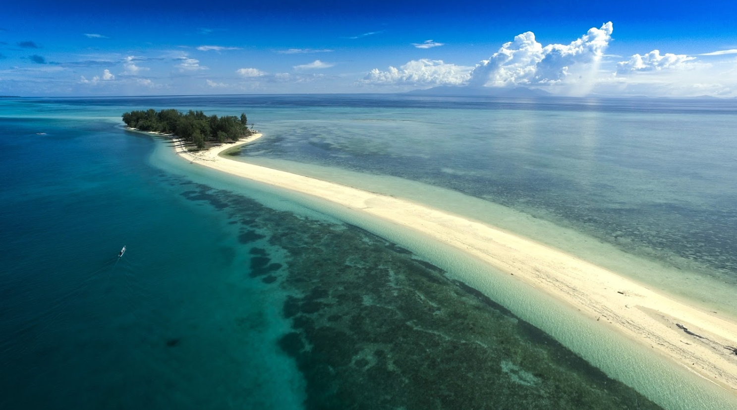 Hanya di Pulau Morotai: Liburan ke Pantai Sambil Amati Burung Langka nan Eksotis