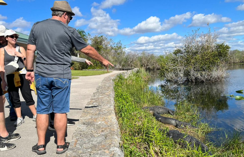 Taman Nasional Everglades: Keajaiban Alam di Amerika Serikat